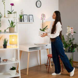 Decoración de interiores